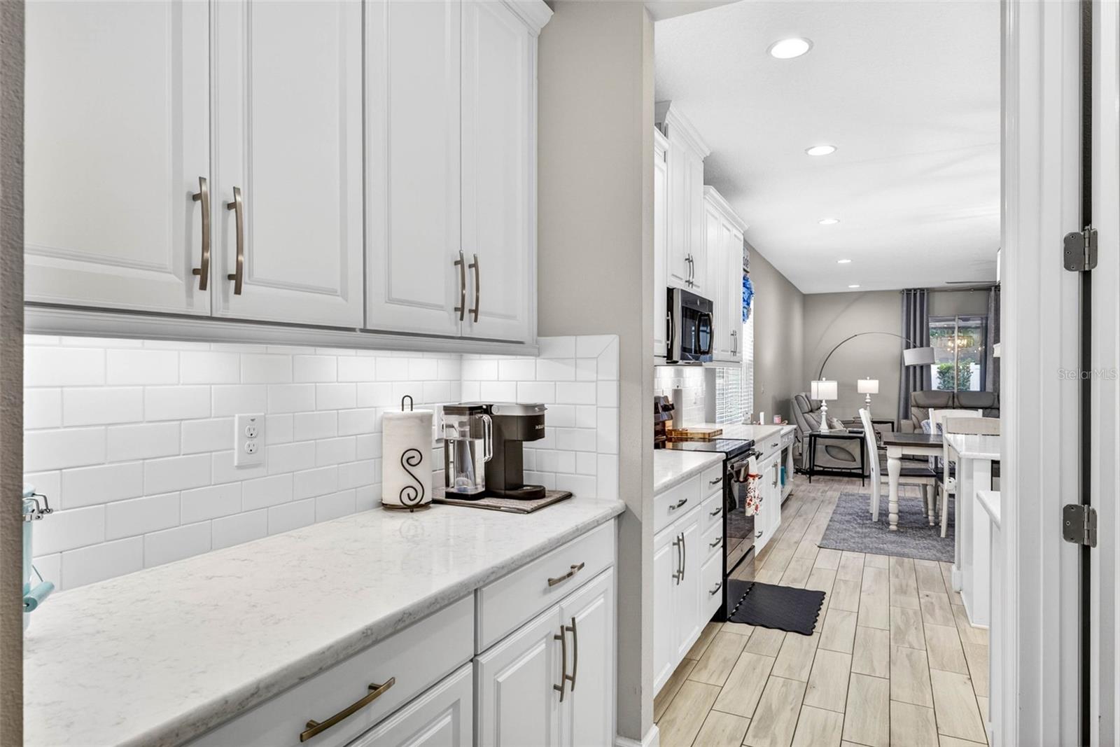 29894 CHAPEL CHASE DR, WESLEY CHAPEL, FL, 33545