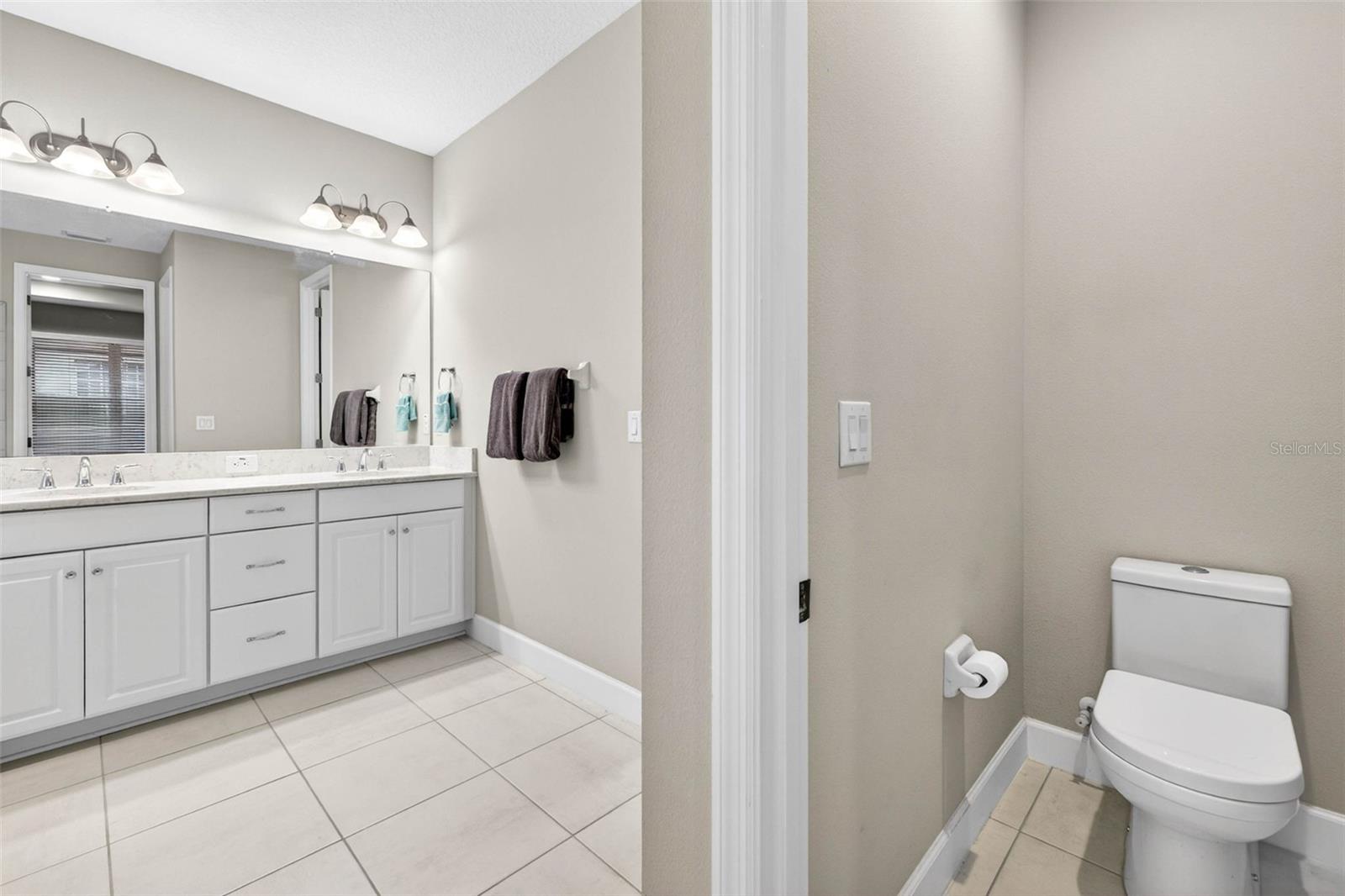 29894 CHAPEL CHASE DR, WESLEY CHAPEL, FL, 33545