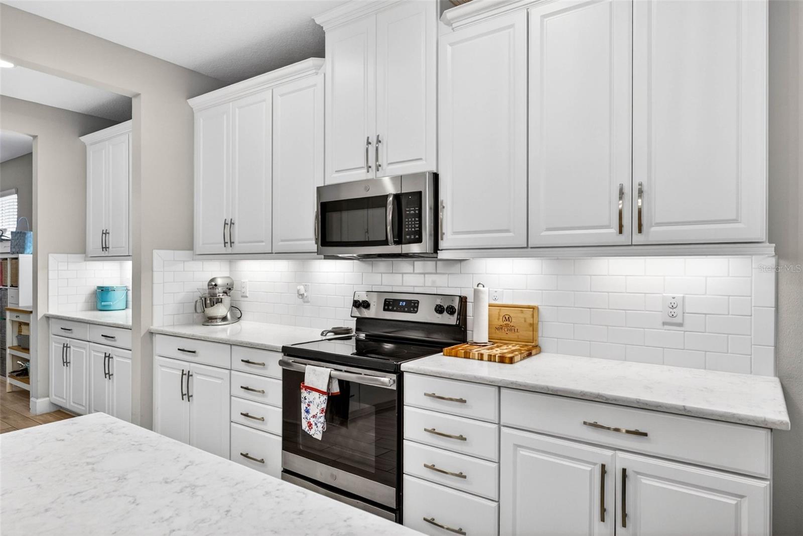 29894 CHAPEL CHASE DR, WESLEY CHAPEL, FL, 33545