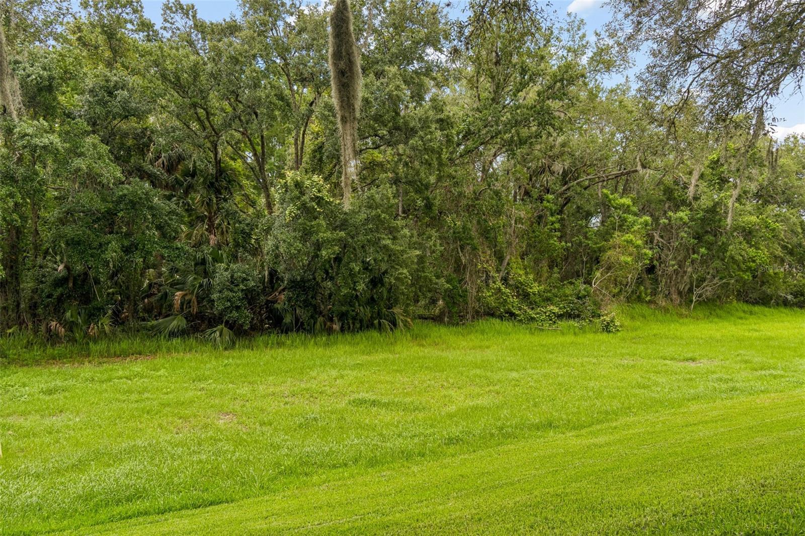 9311 HAAS DR, HUDSON, FL, 34669