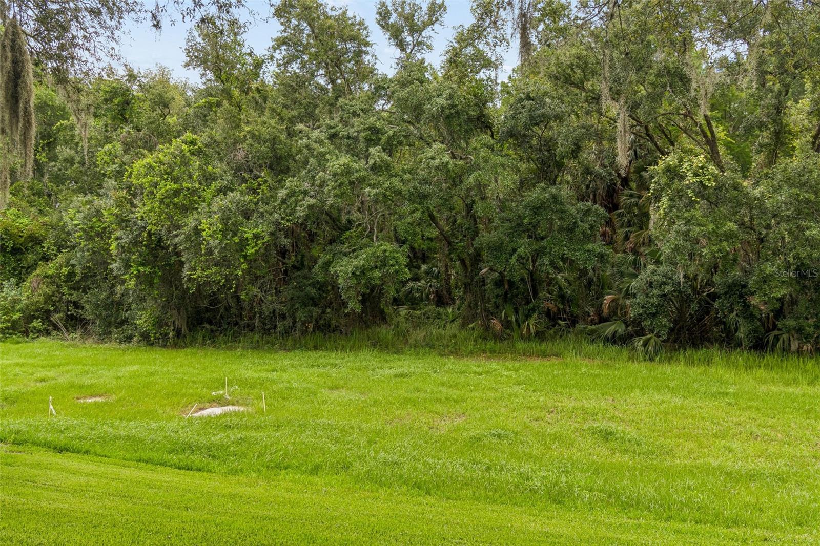 9311 HAAS DR, HUDSON, FL, 34669