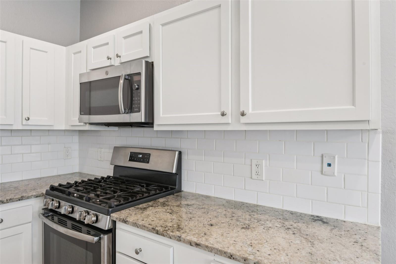 20721 WHITEWOOD WAY, TAMPA, FL, 33647