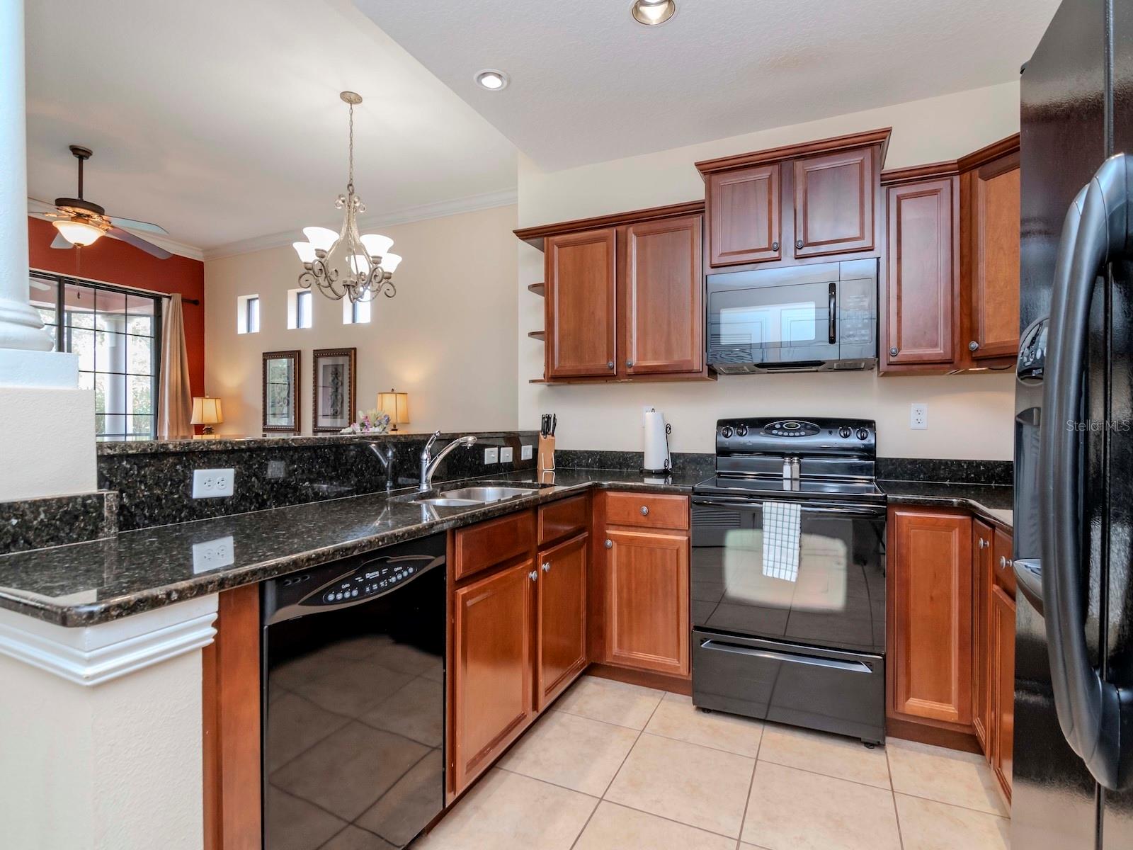 13941 CLUBHOUSE DR #102, TAMPA, FL, 33618