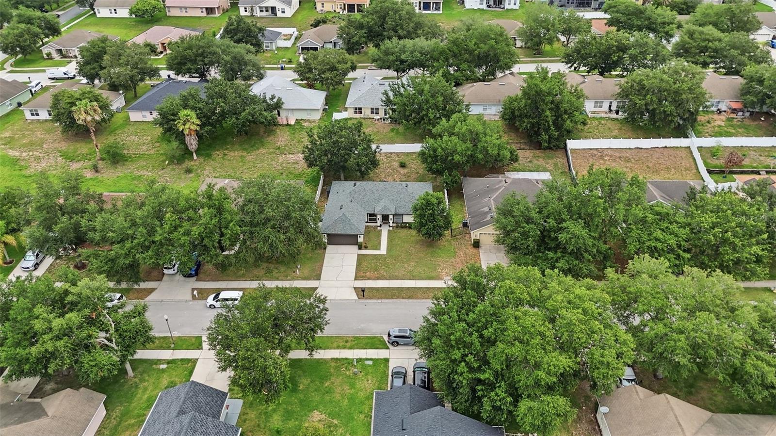 1917 SOUTHERN OAK LOOP, MINNEOLA, FL, 34715