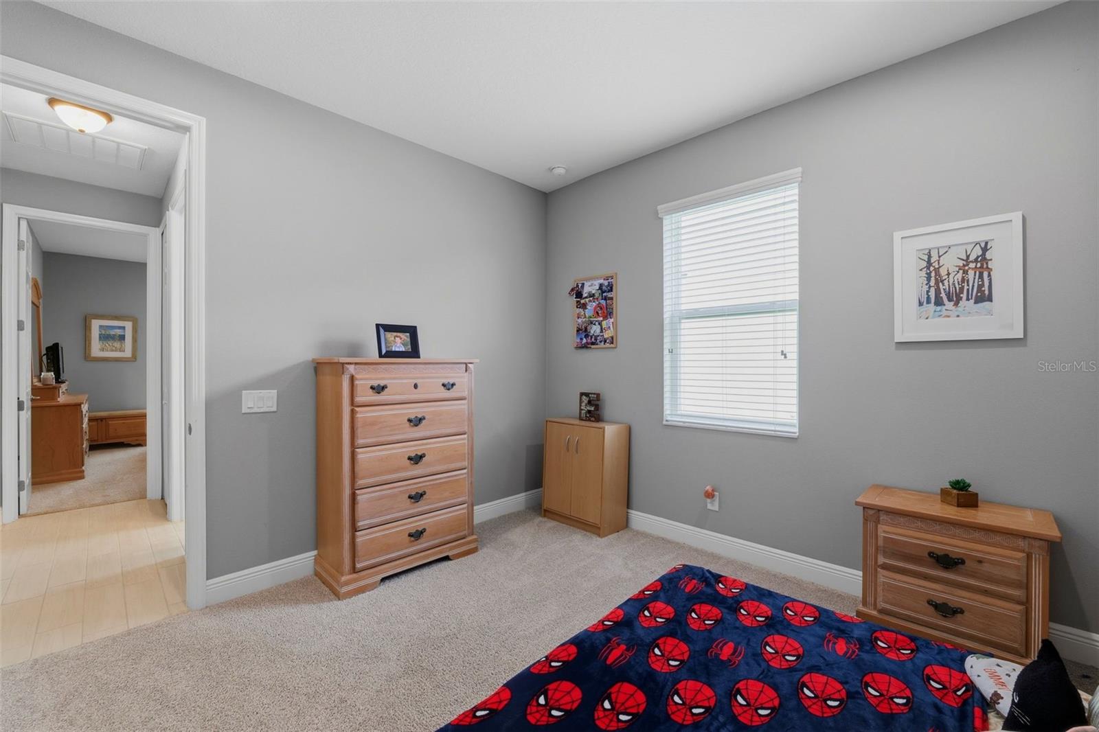 11903 RANCHERS GAP DR, ODESSA, FL, 33556
