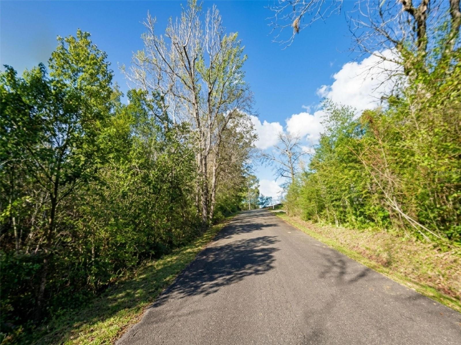 SATSUMA RD, CHATTAHOOCHEE, FL, 32324