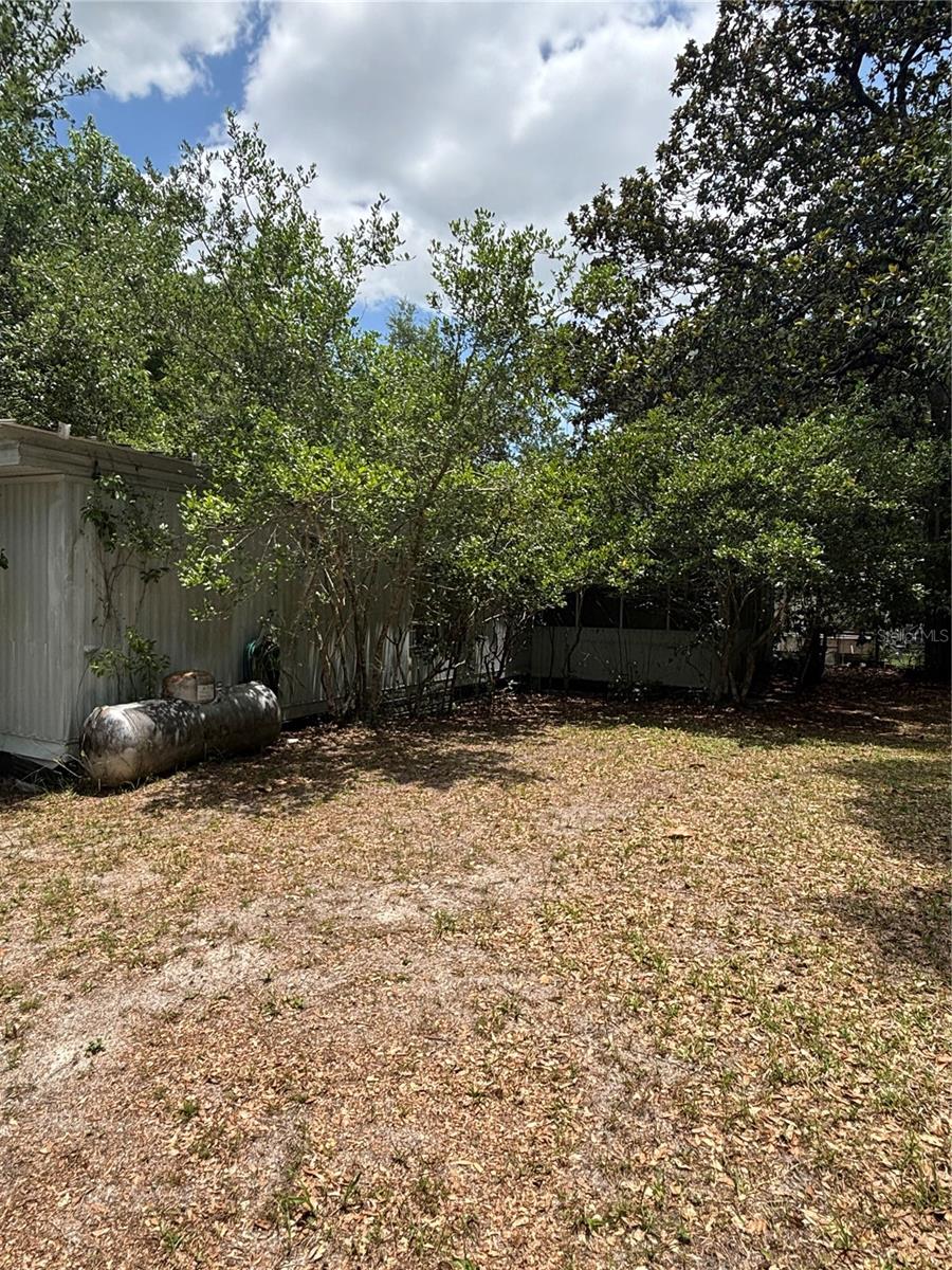 20304 BLUE WING RD, ALTOONA, FL, 32702