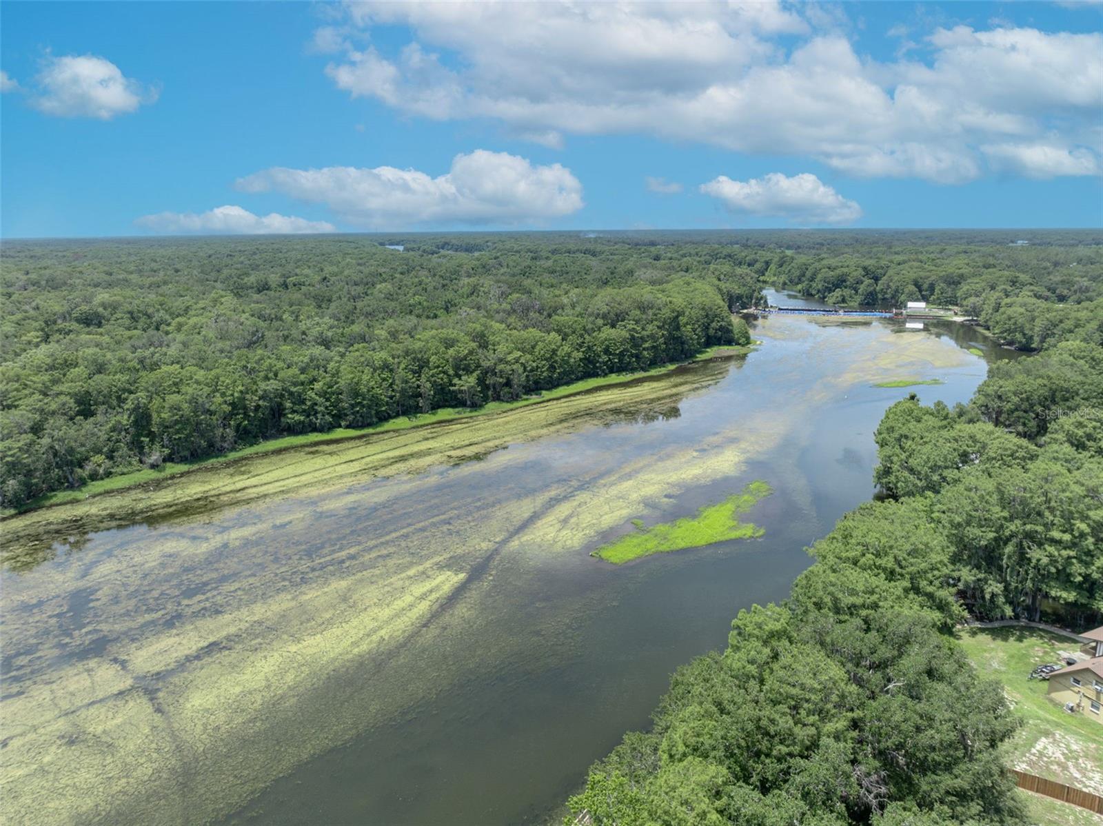 4885 CR 307, LAKE PANASOFFKEE, FL, 33538
