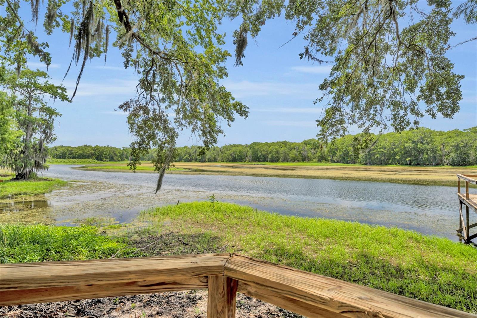 4885 CR 307, LAKE PANASOFFKEE, FL, 33538