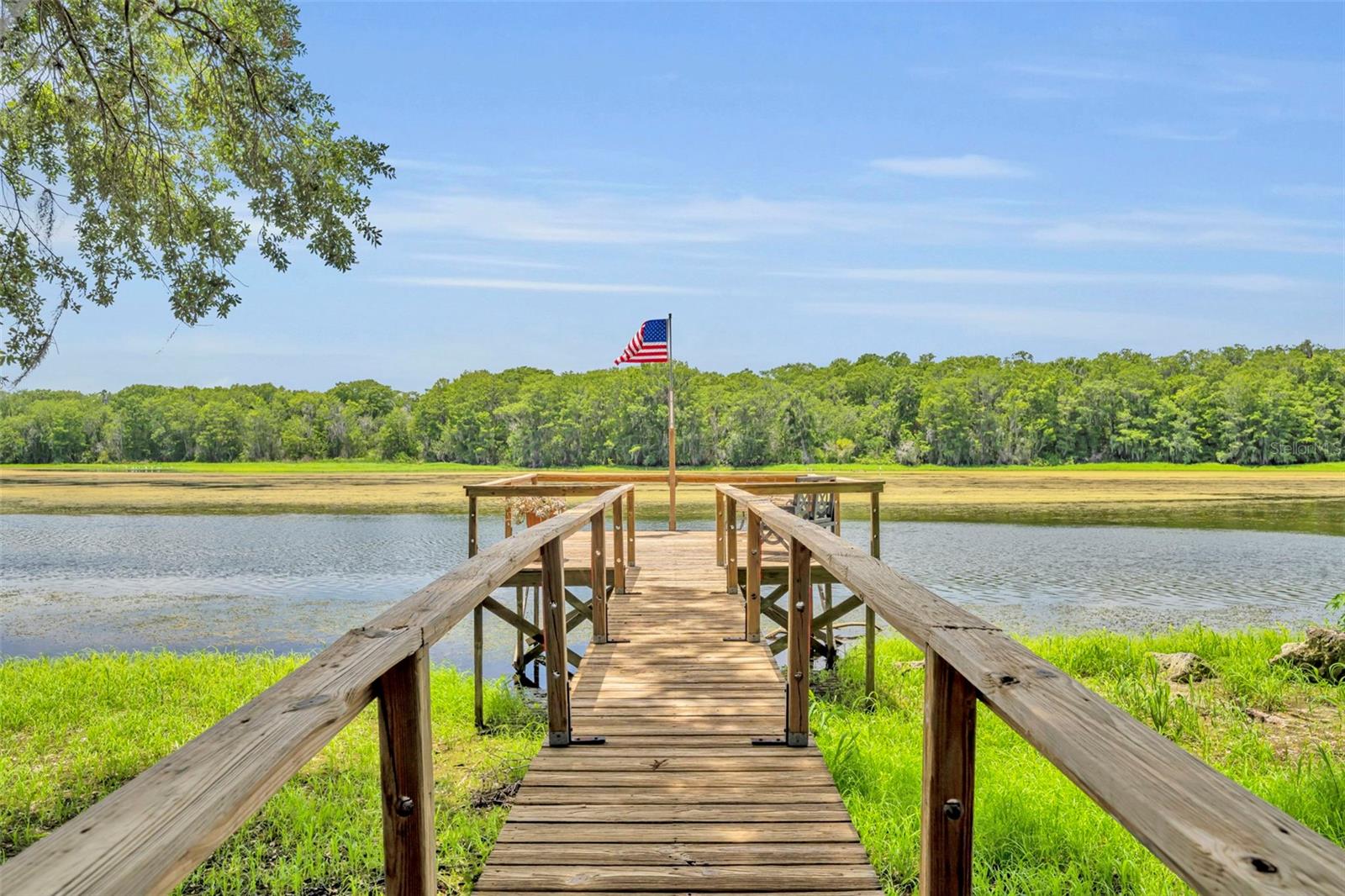 4885 CR 307, LAKE PANASOFFKEE, FL, 33538