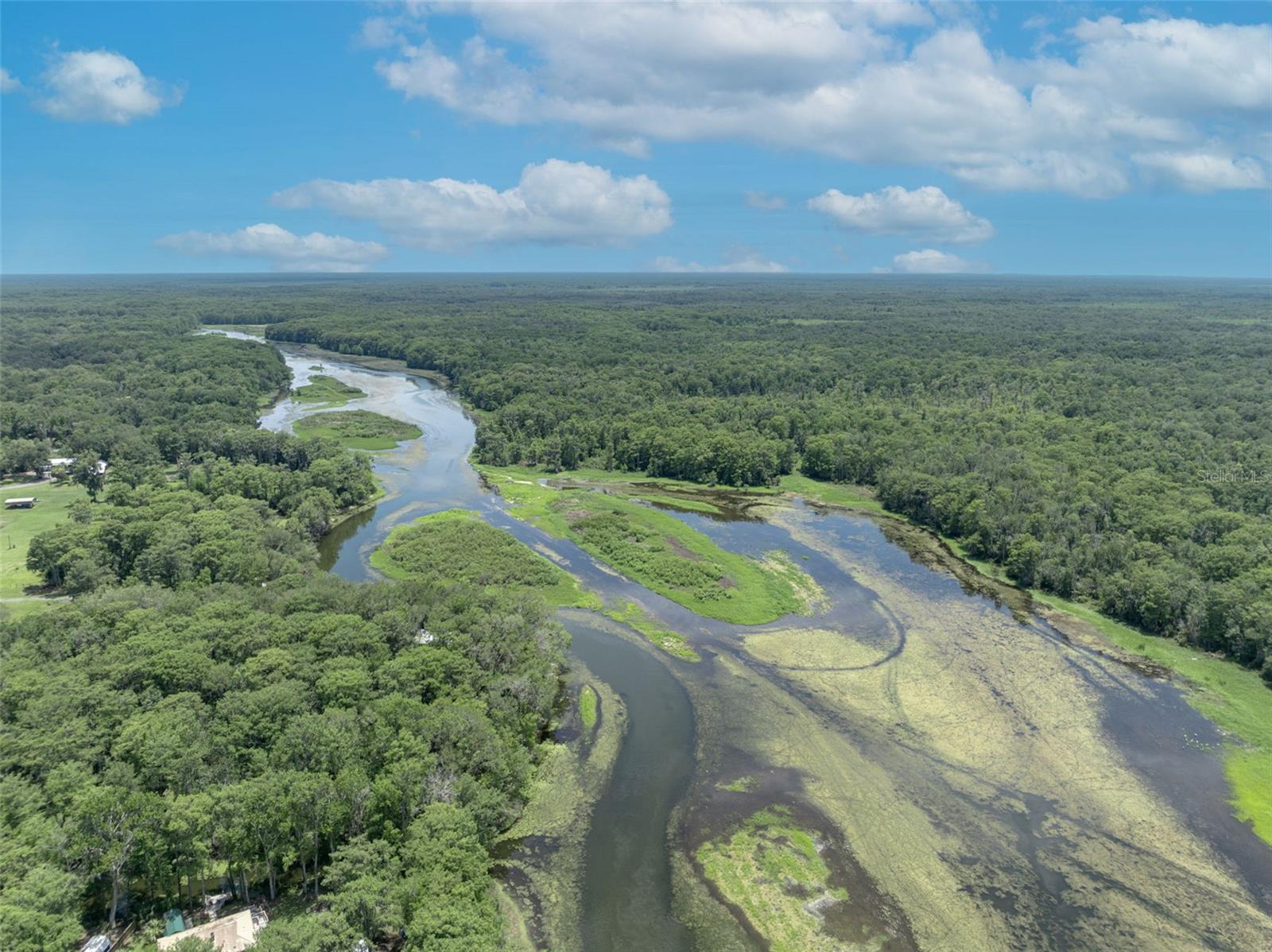 4885 CR 307, LAKE PANASOFFKEE, FL, 33538