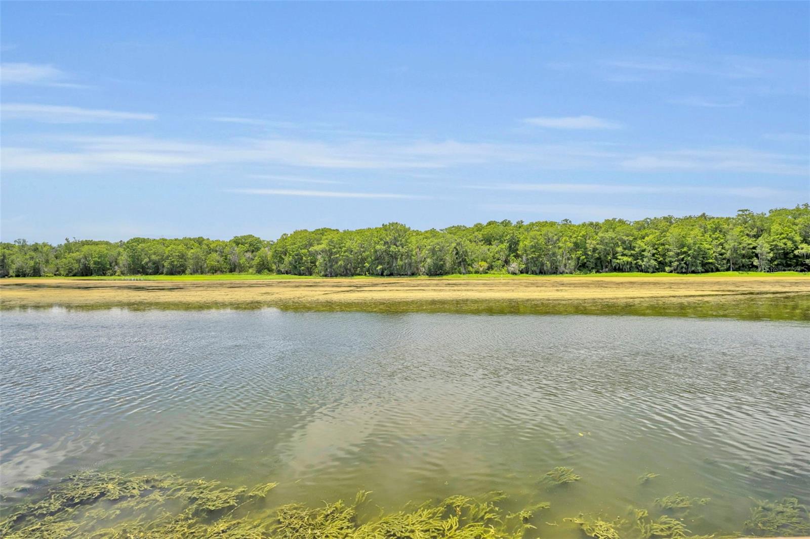 4885 CR 307, LAKE PANASOFFKEE, FL, 33538