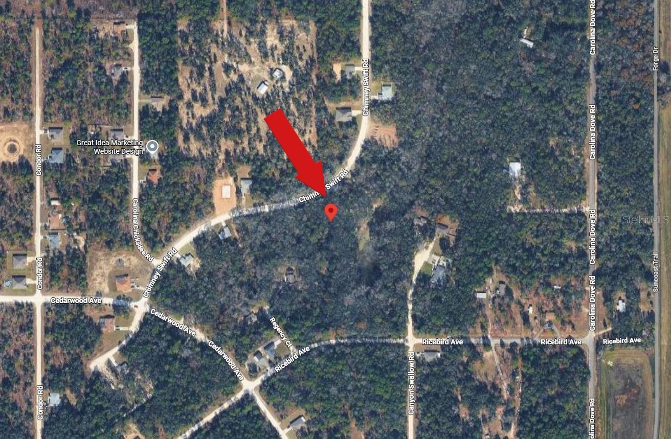 14398 CHIMNEY SWIFT RD, WEEKI WACHEE, FL, 34614