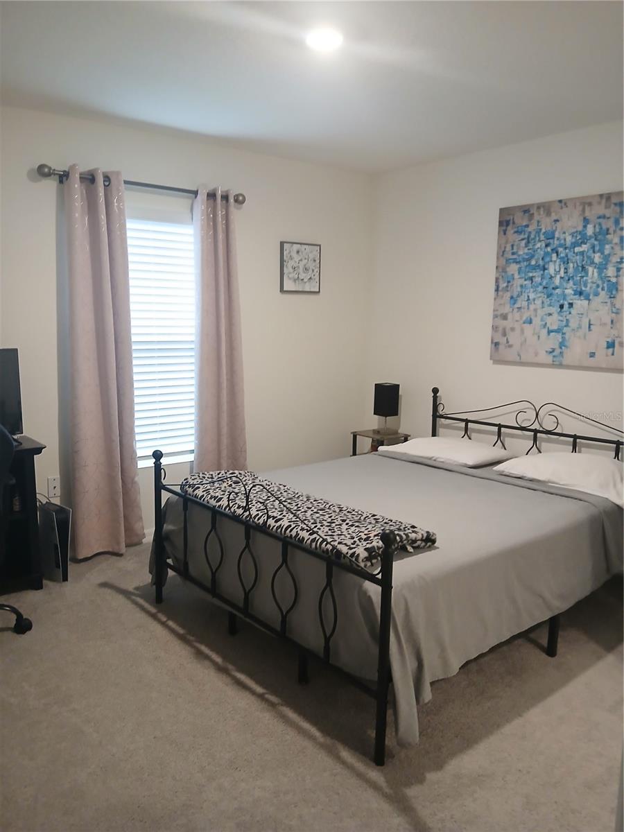 3719 CAPRI COAST DR, PLANT CITY, FL, 33565