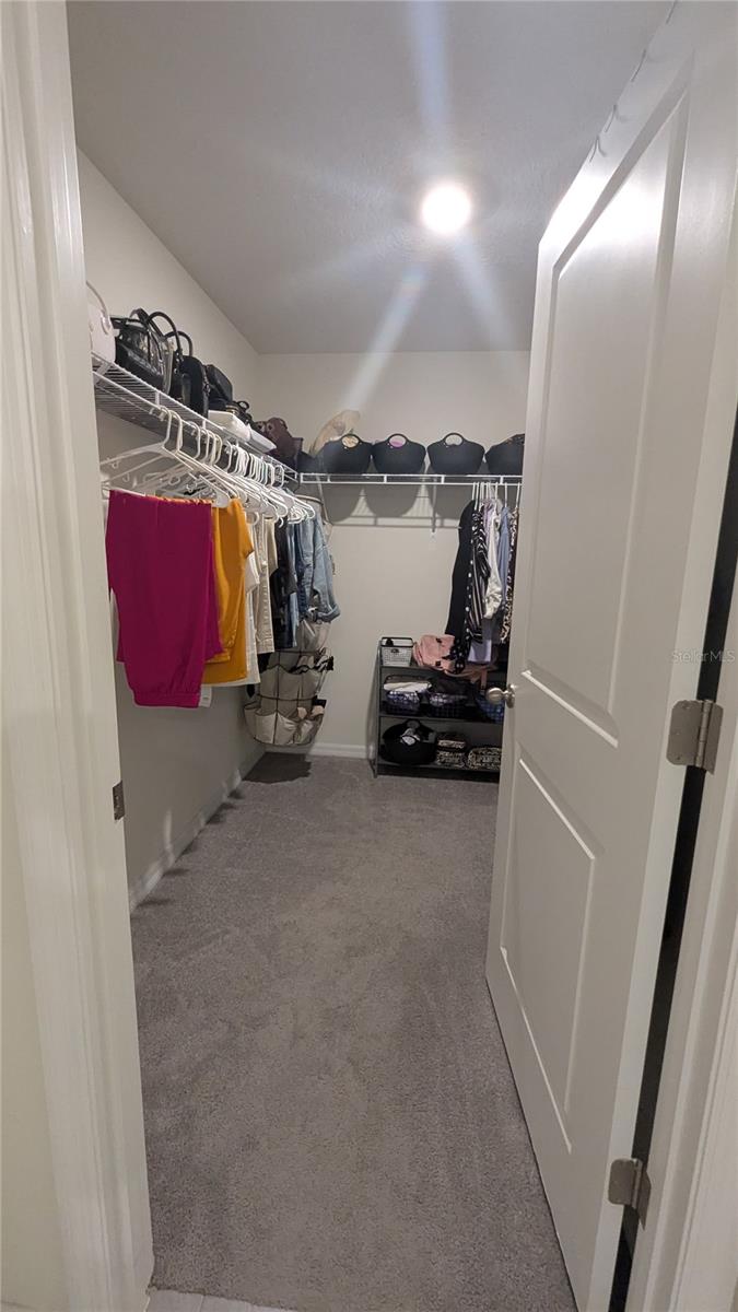 3719 CAPRI COAST DR, PLANT CITY, FL, 33565