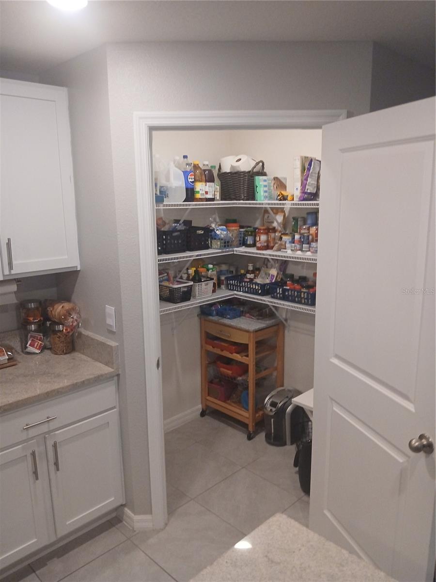 3719 CAPRI COAST DR, PLANT CITY, FL, 33565