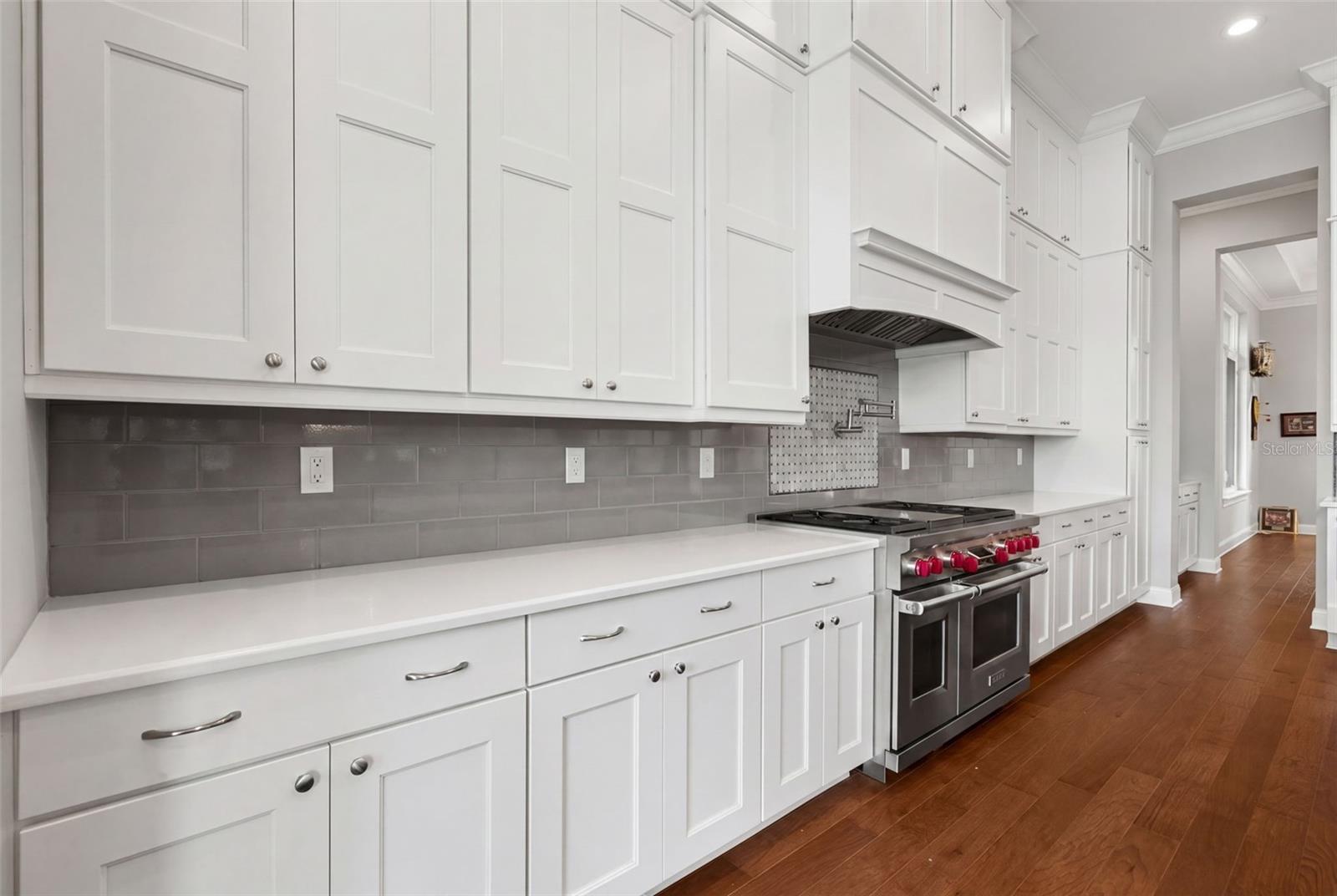 4905 W SPRING LAKE DR, TAMPA, FL, 33629