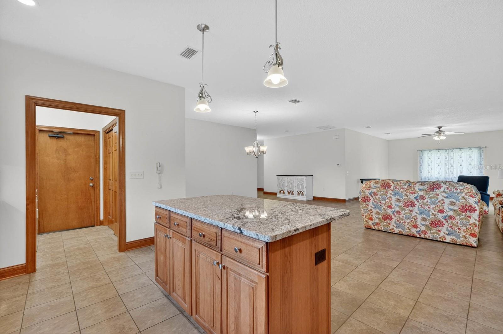 115 TANGELO TER, CRESCENT CITY, FL, 32112