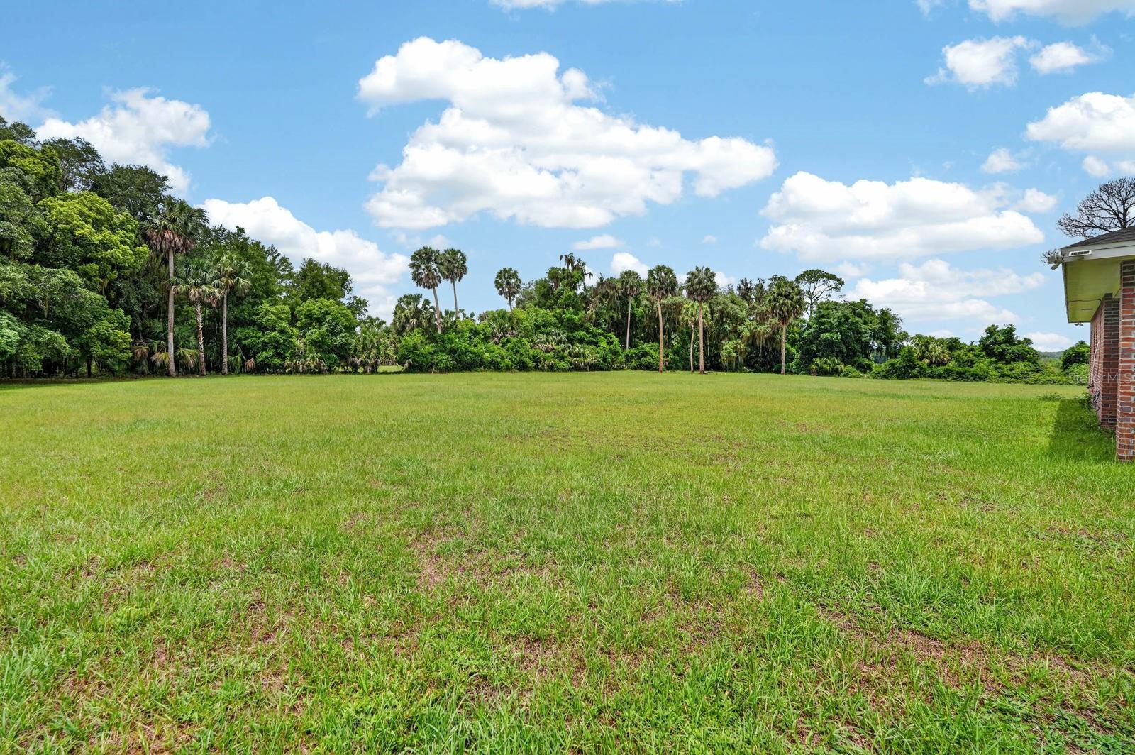 115 TANGELO TER, CRESCENT CITY, FL, 32112