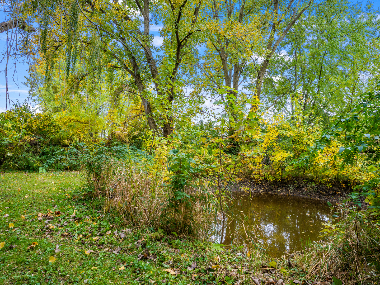 MLS #MRD11641614 image #23