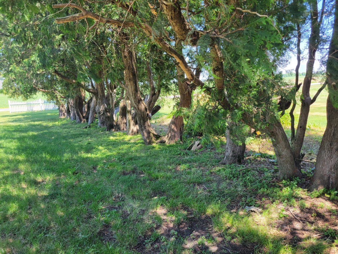 MLS #MRD11644812 image #3