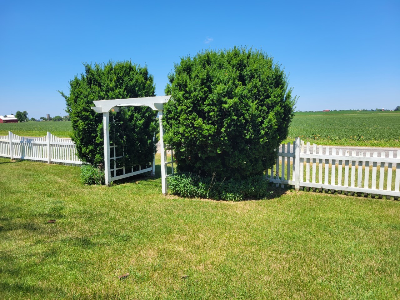 MLS #MRD11644812 image #4