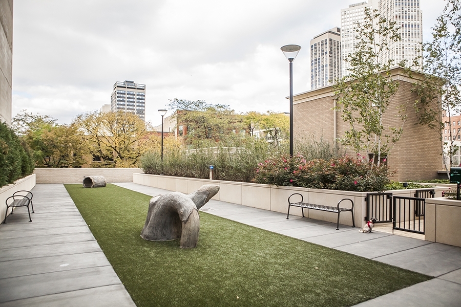 MLS #MRD11667518 image #35