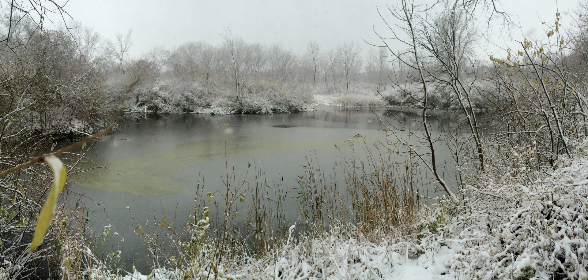 MLS #MRD11675214 image #45