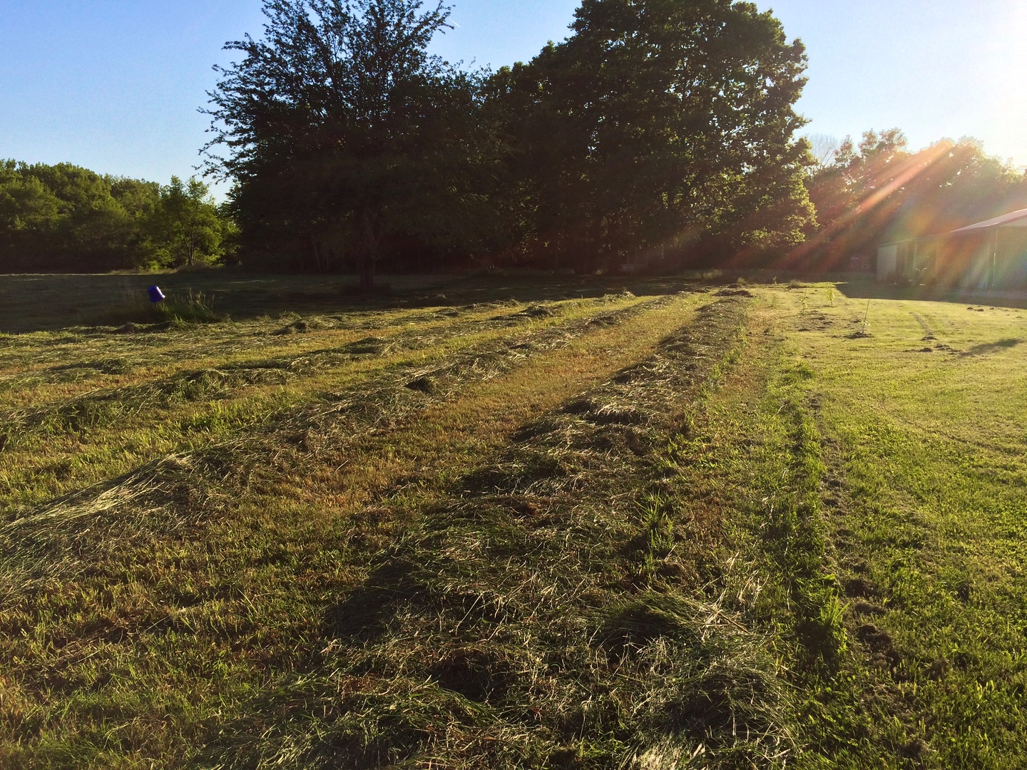 MLS #MRD11675214 image #42