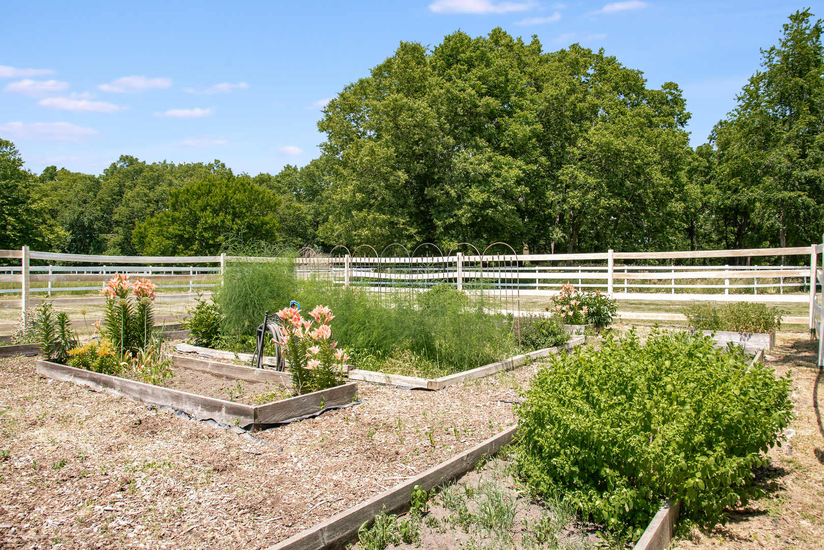 MLS #MRD11675214 image #31