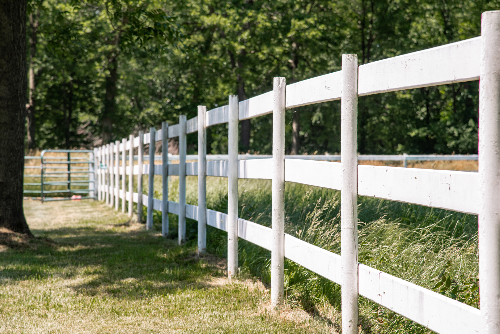 MLS #MRD11675214 image #32