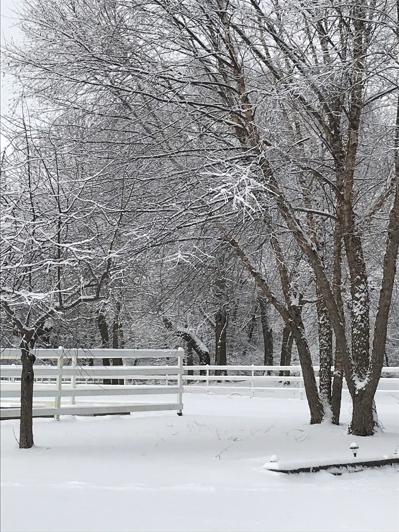 MLS #MRD11675214 image #44