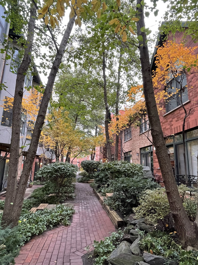 MLS #MRD11687900 image #28