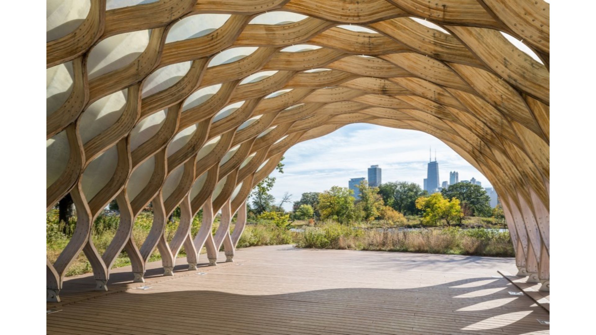 MLS #MRD11692934 image #37