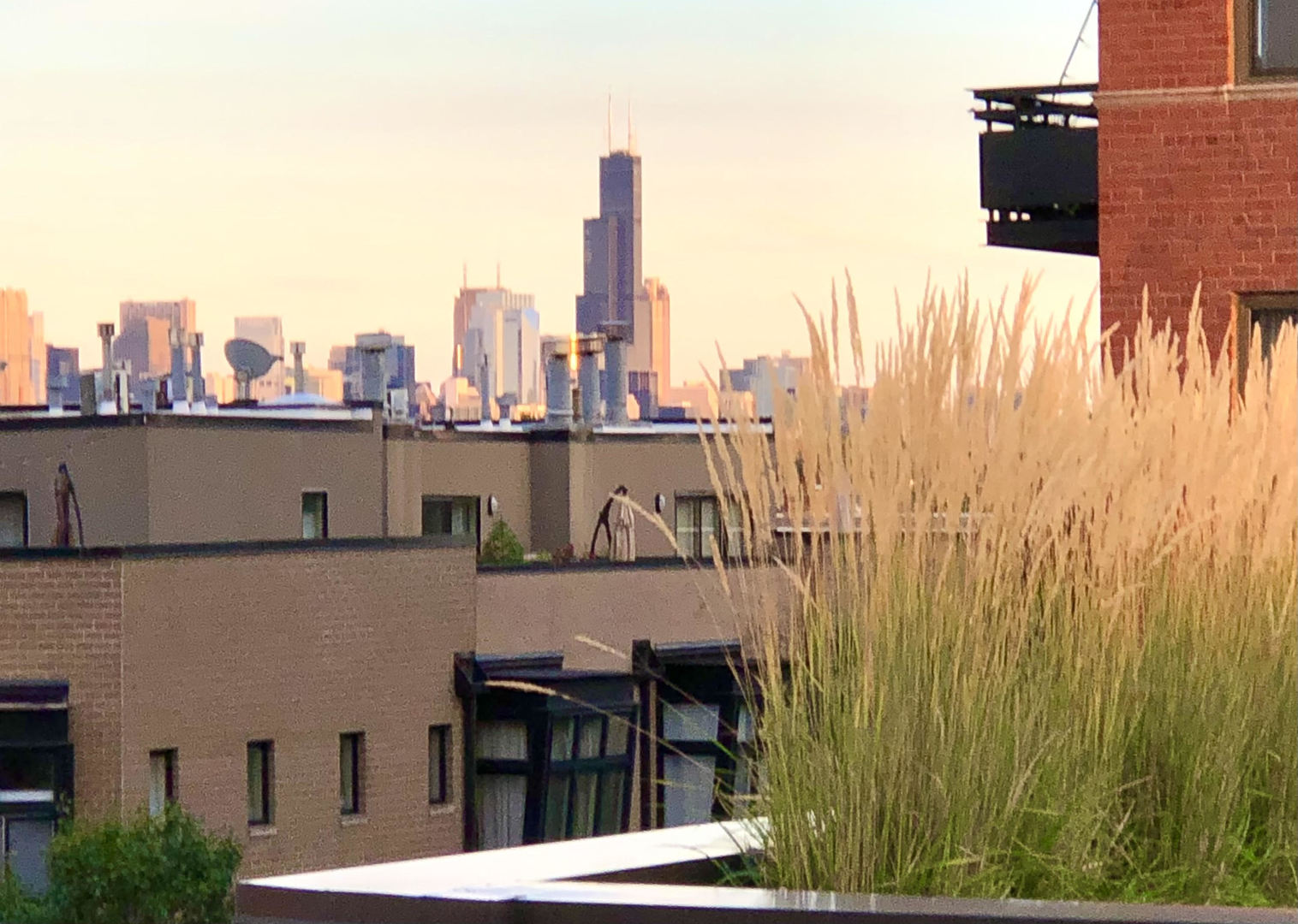 MLS #MRD11695893 image #0