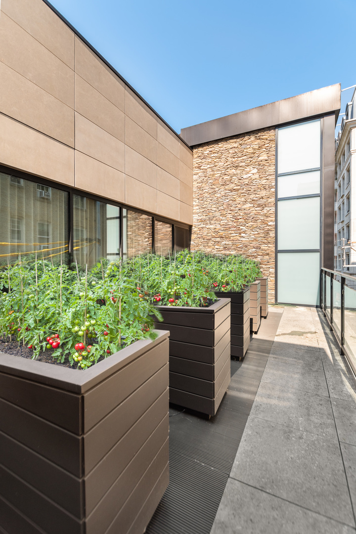 MLS #MRD11713350 image #55