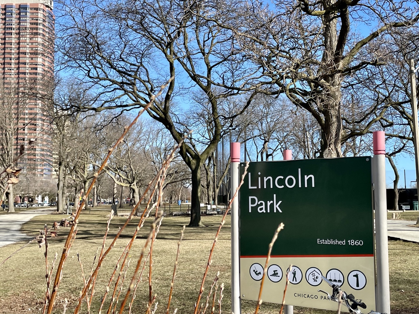 MLS #MRD11733805 image #24