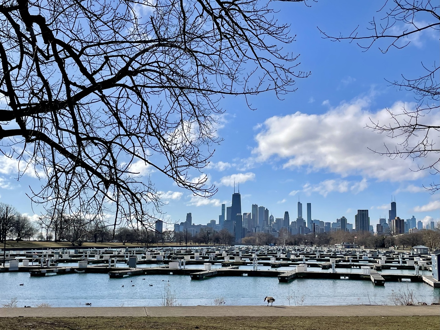 MLS #MRD11733805 image #25