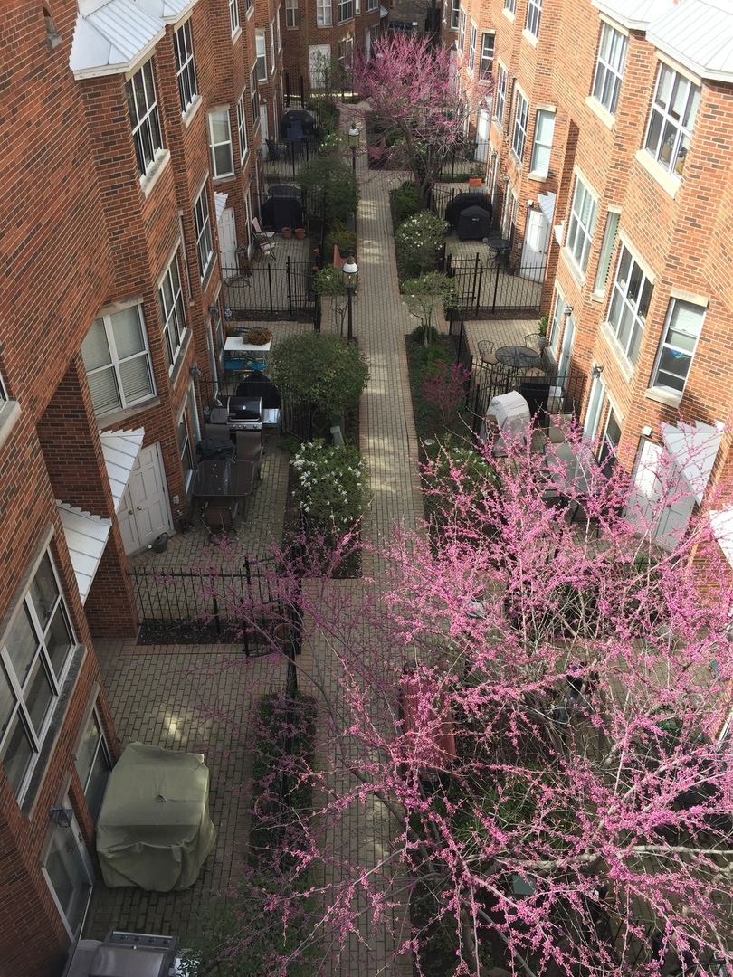 MLS #MRD11733805 image #21