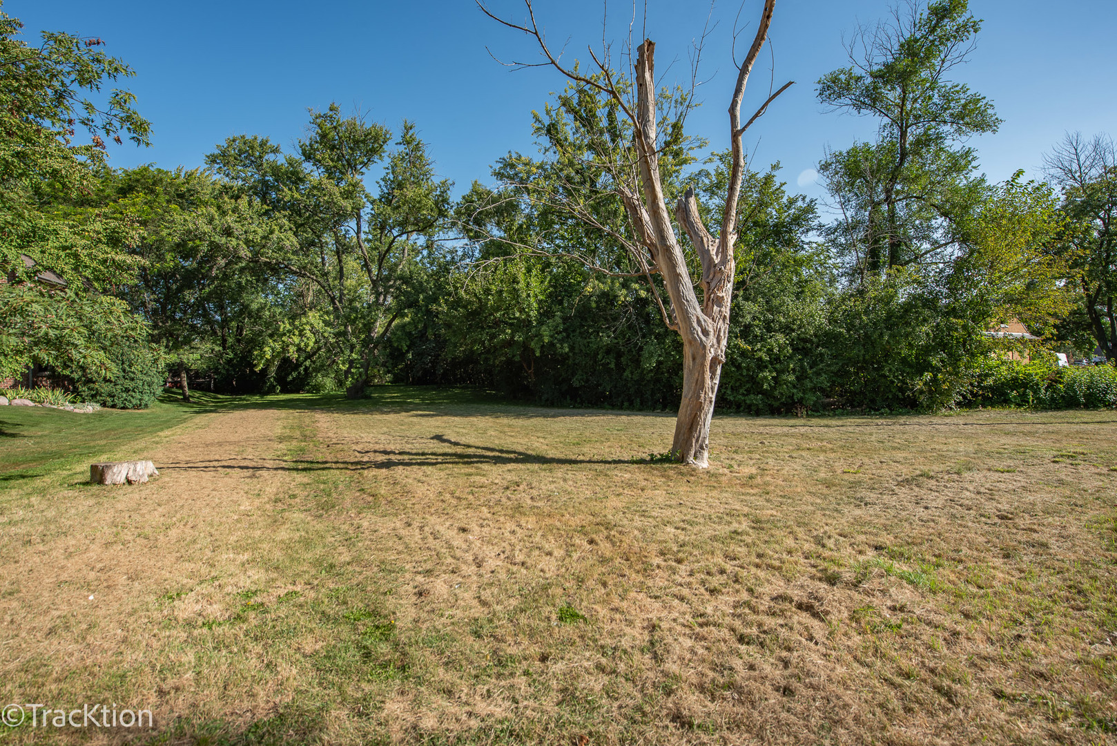 Gallery Image 20