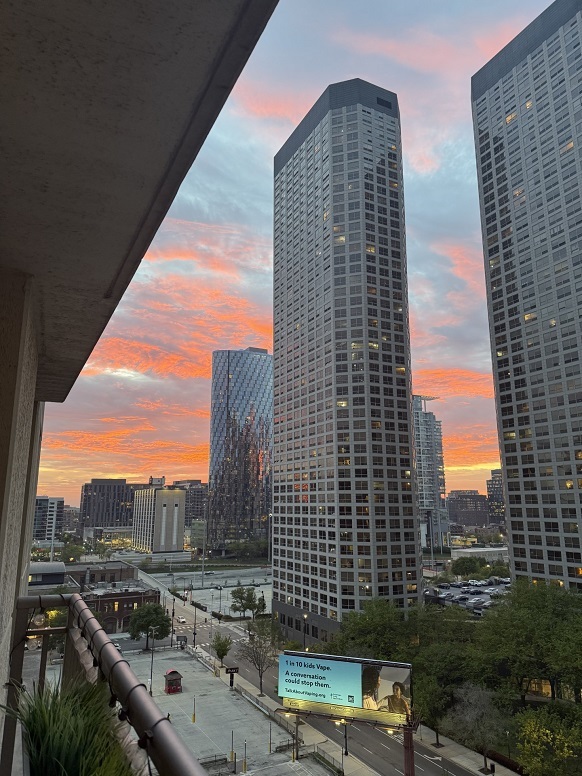 125 S Jefferson Street, Unit #1103, Chicago, IL 60661