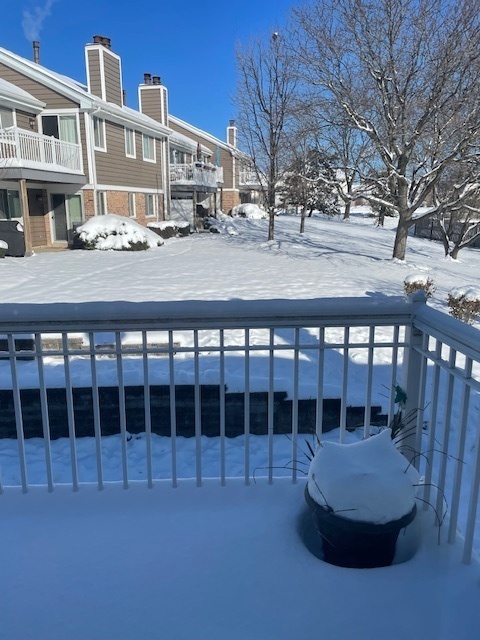 624 Berkley Court UNIT V2, Schaumburg, IL, 60194