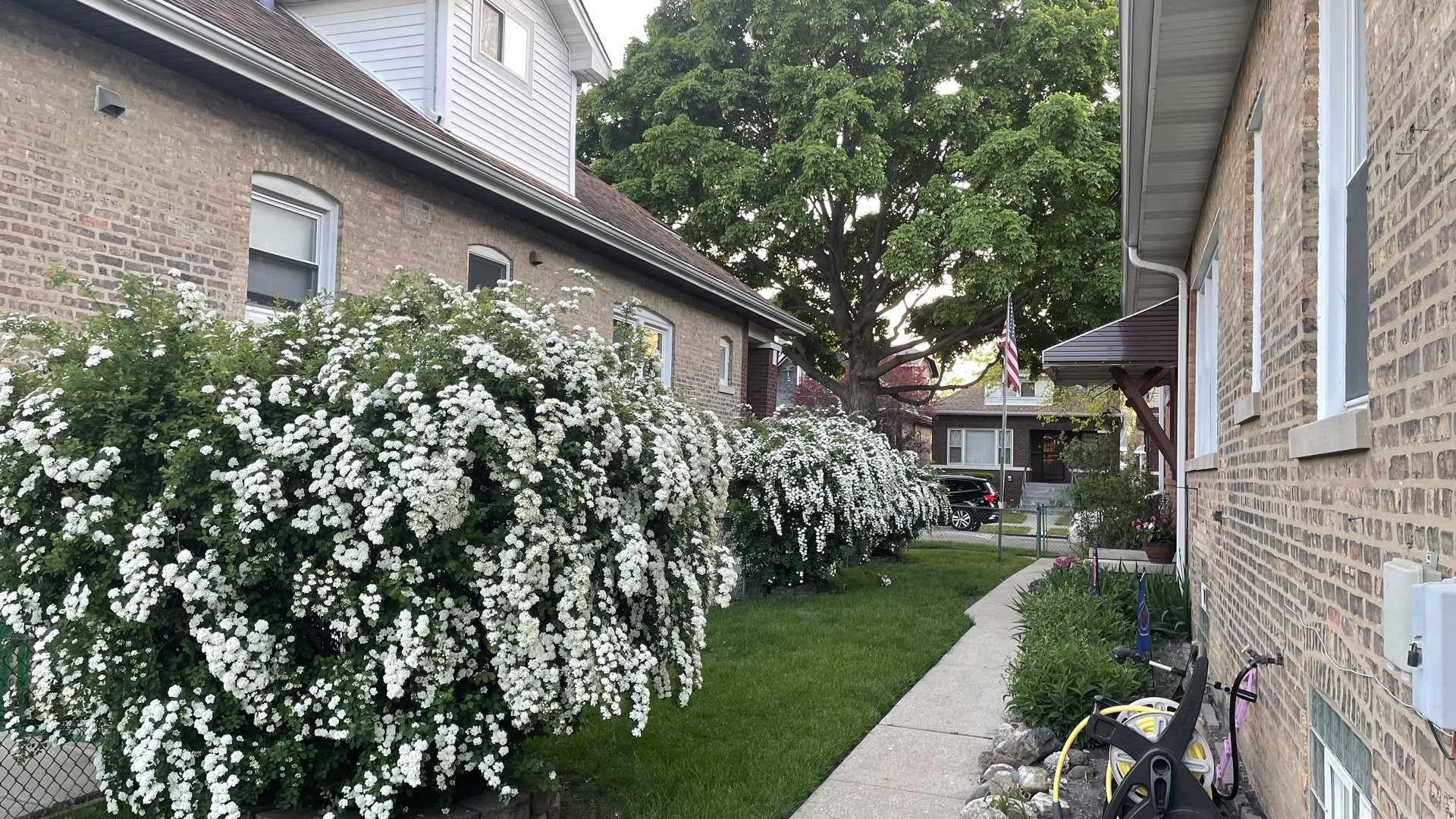 MLS #MRD12550743 image #10