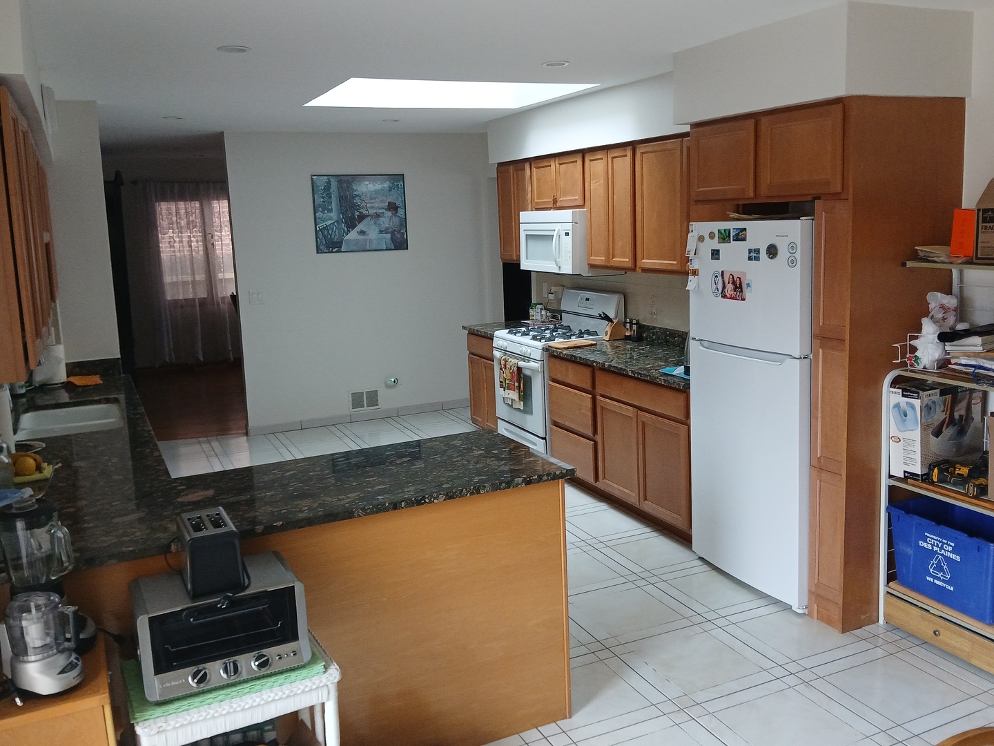 7106 W Schreiber Avenue, Chicago, IL, 60631