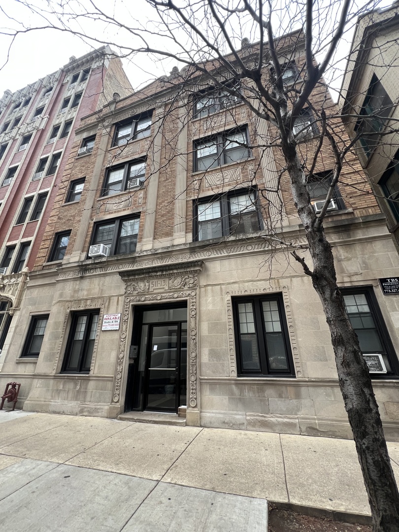 340 W Diversey Parkway UNIT 1116, Chicago, IL, 60657