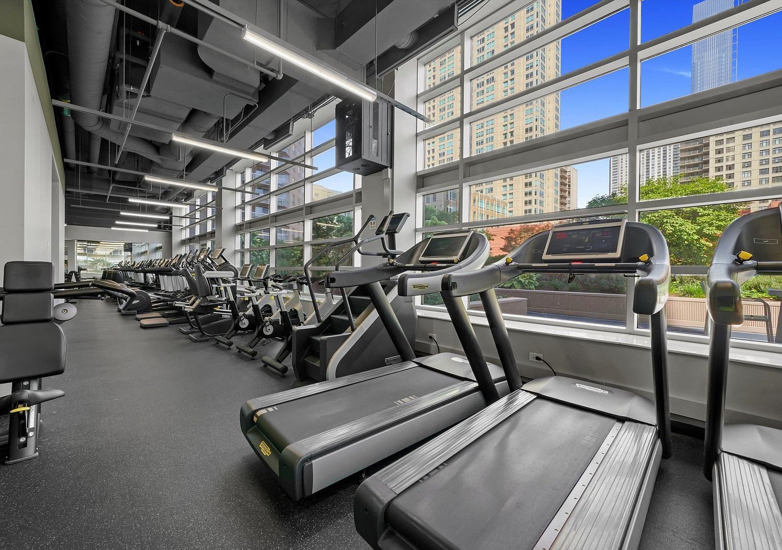 MLS #MRD12604463 image #19