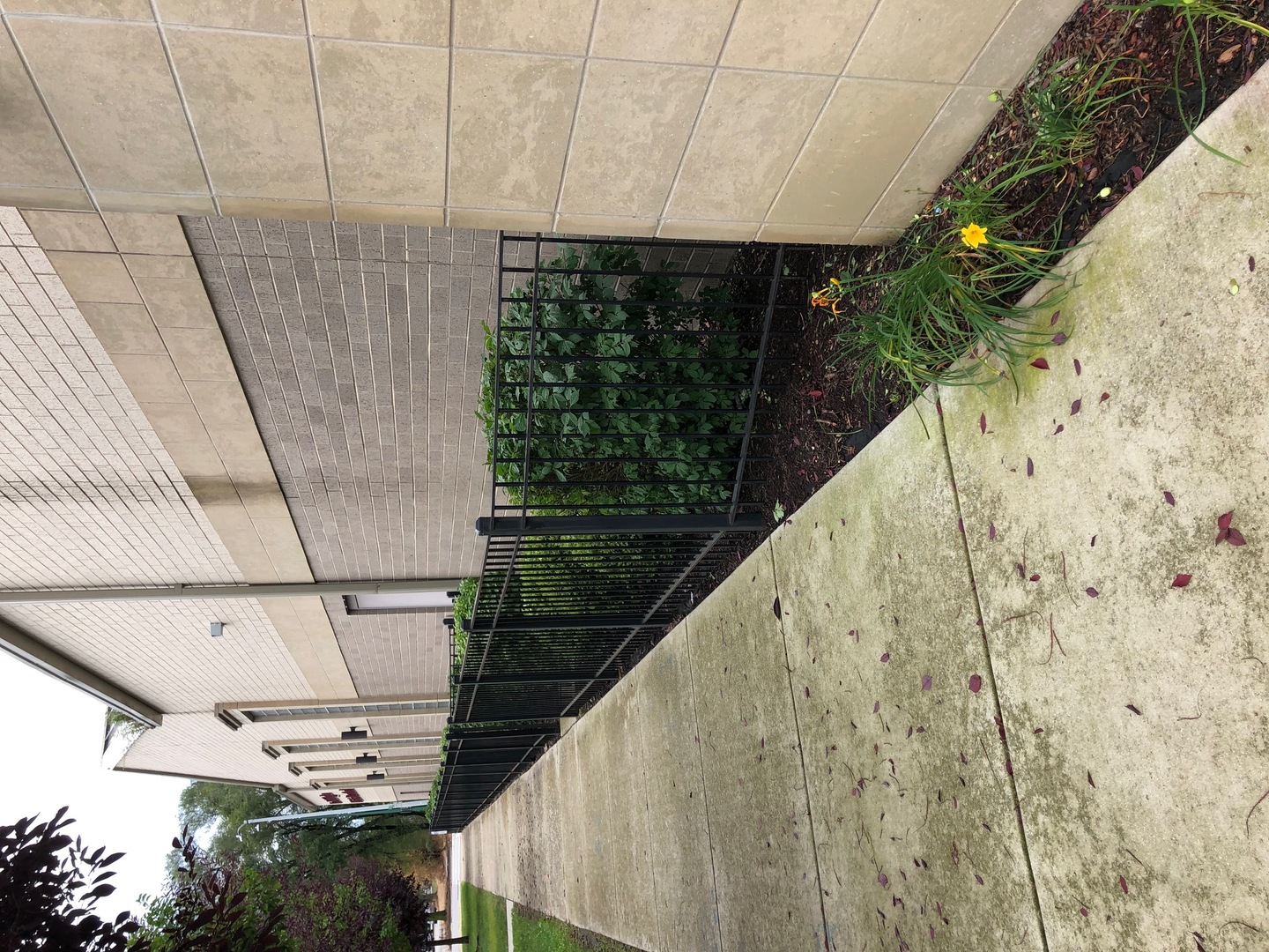 MLS #MRD12608956 image #4