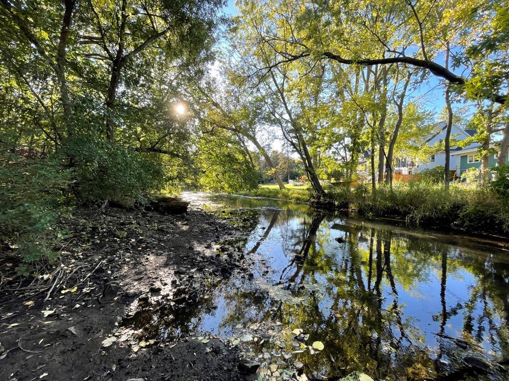 MLS #NST6551693 image #30