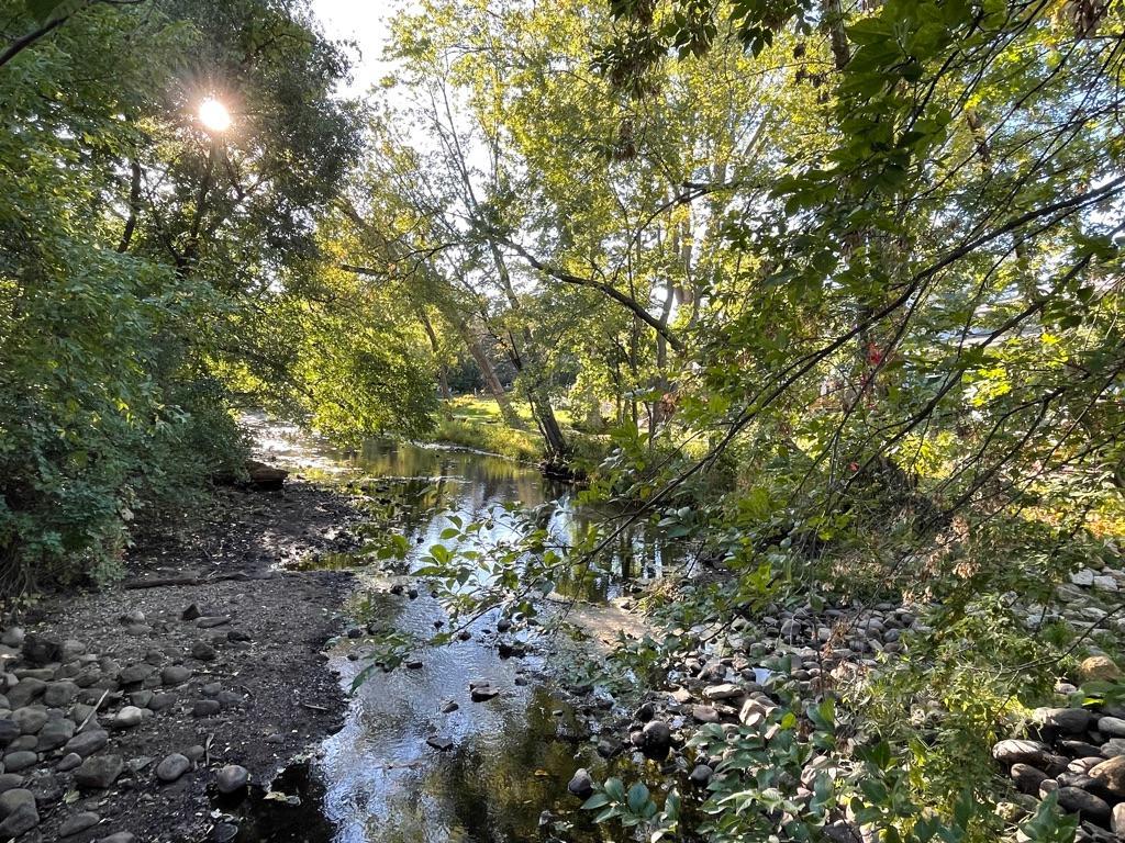 MLS #NST6551693 image #28