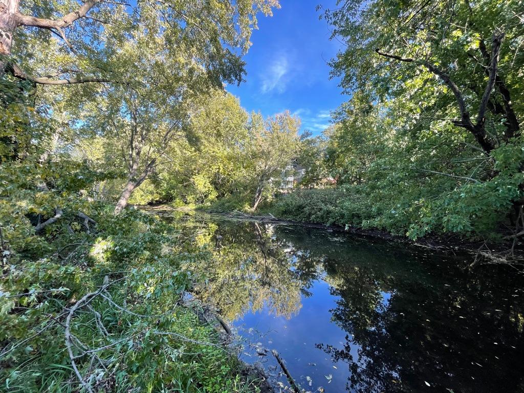 MLS #NST6551693 image #8